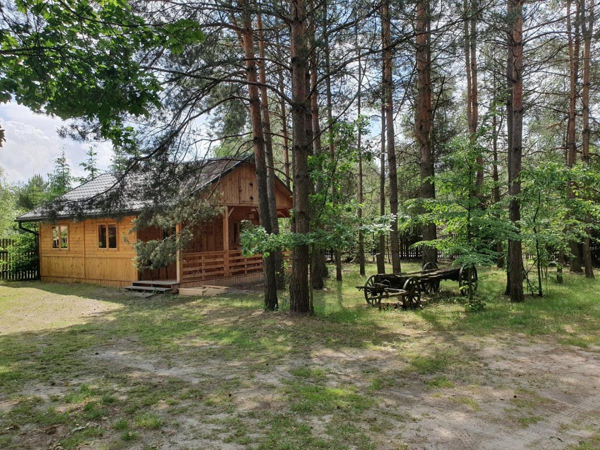 Roztocze U Aleksa Susiec - Jacuzii , Goraca Balia!!! Villa Luaran gambar